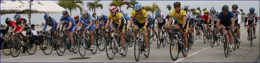 �V�t���[�h���[�X